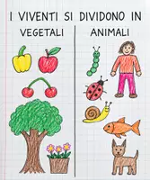 anteprima - Materiale di supporto/inclusione - QUADERNO DI SCIENZE – CLASSE PRIMA - SECONDA PARTE - Pagina 3