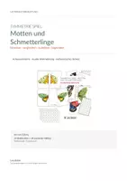 Vorschau - Arbeitsblätter - Achsensymmetrie Grundschule – Lernpaket Schmetterlingen - Seite 2