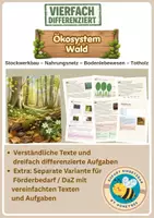 Vorschau - Unterrichtsreihen - Ökosystem Wald: Stockwerkbau, Nahrungsnetz, Totholz – Biologie Klasse 7 bis 9 - vierfach differenziert inkl. eigener Förderversion / DaZ-Version | Realschule, Gesamtschule, Gemeinschaftsschule, Oberschule - Deckblatt