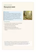 Vorschau - Unterrichtsreihen - Ökosystem Wald: Stockwerkbau, Nahrungsnetz, Totholz – Biologie Klasse 7 bis 9 - vierfach differenziert inkl. eigener Förderversion / DaZ-Version | Realschule, Gesamtschule, Gemeinschaftsschule, Oberschule - Seite 1