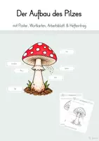Vorschau - Arbeitsblätter - Materialpaket: Der Pilz - Seite 1