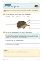 Vorschau - Unterrichtsreihen - Der Igel · Klasse 2 · Übungspack - Seite 1