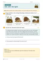 Vorschau - Unterrichtsreihen - Der Igel · Klasse 2 · Übungspack - Seite 3