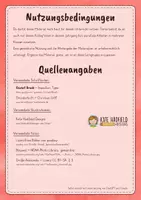 Vorschau - Arbeitsblätter - Leseverstehen trainieren (3/4) - Seite 2