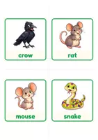 Vorschau - Präsentationen/Tafelbilder - Halloween Englisch Flashcards: Animals & Nature - Seite 3