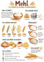 Vorschau - Arbeitsblätter - Lernplakat + Arbeitsblätter zum Thema "Mehl" + Lösung & MP3 + Infografik - Deckblatt