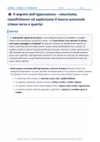 anteprima - Esercizi - 🌰 Il segreto dell'ippocastano – misuriamo, classifichiamo ed esploriamo il tesoro autunnale (classe terza e quarta) - Pagina 2
