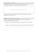 anteprima - Esercizi - 🌰 Il segreto dell'ippocastano – misuriamo, classifichiamo ed esploriamo il tesoro autunnale (classe terza e quarta) - Pagina 3