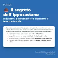 anteprima - Esercizi - 🌰 Il segreto dell'ippocastano – misuriamo, classifichiamo ed esploriamo il tesoro autunnale (classe terza e quarta) - Pagina di copertina
