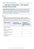 anteprima - Esercizi - 🧪 Laboratorio di separazione – come separare i miscugli (classe seconda) - Pagina 2