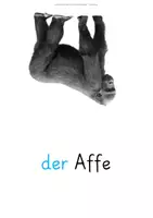 Vorschau - Stundenentwürfe - Tiere – Fotokarten & Wortkarten | DaZ A1–A2 | 35 Tierbegriffe | Wortschatz & Sprachförderung - Seite 3