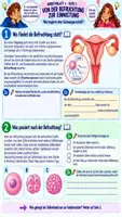 Vorschau - Stundenentwürfe - 🤰🧬👶 Schwangerschaft | 🥚 Befruchtung 🌱 Einnistung 👶 Entwicklung | Klasse 7/8 📚 | Arbeitsblätter ✏️ Lösungen ✅ Unterrichtsplanung ⏱️Biologie (Bio) - Deckblatt