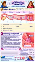 Vorschau - Stundenentwürfe - 🤰🧬👶 Schwangerschaft | 🥚 Befruchtung 🌱 Einnistung 👶 Entwicklung | Klasse 7/8 📚 | Arbeitsblätter ✏️ Lösungen ✅ Unterrichtsplanung ⏱️Biologie (Bio) - Seite 1