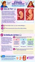 Vorschau - Stundenentwürfe - 🤰🧬👶 Schwangerschaft | 🥚 Befruchtung 🌱 Einnistung 👶 Entwicklung | Klasse 7/8 📚 | Arbeitsblätter ✏️ Lösungen ✅ Unterrichtsplanung ⏱️Biologie (Bio) - Seite 2