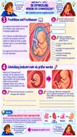 Vorschau - Stundenentwürfe - 🤰🧬👶 Schwangerschaft | 🥚 Befruchtung 🌱 Einnistung 👶 Entwicklung | Klasse 7/8 📚 | Arbeitsblätter ✏️ Lösungen ✅ Unterrichtsplanung ⏱️Biologie (Bio) - Seite 3