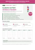 anteprima - Esercizi - Parti della pianta e fotosintesi – GRATIS - Pagina 1