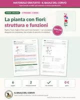 anteprima - Esercizi - Parti della pianta e fotosintesi – GRATIS - Pagina di copertina