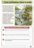 Vorschau - Unterrichtsreihen - Wirbeltiergruppen im Vergleich – Themenheft Biologie Klasse 5-6 - Seite 3