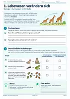 Vorschau - Unterrichtsreihen - Evolution einfach erklärt – Variation, natürliche Selektion, Fossilien, Artbildung & Verwandtschaft | Biologie 5/6 - Deckblatt