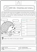 Vorschau - Arbeitsblätter - Igel Forscherheft Klasse 3 und 4 – Sachunterricht - Seite 1