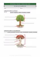 Voorbeeld - Huiswerkbundel - Het bos, mijn vriend - Wereldkanjers 2 - Pagina 3