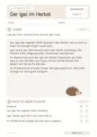 Vorschau - Stundenentwürfe - Der Igel im Herbst - Klasse 1 und 2 Freebie - Seite 2