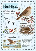 Vorschau - Poster - Tierposter - Tiere im Winter - Seite 3