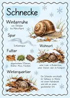 Vorschau - Poster - Tierposter - Tiere im Winter - Seite 1