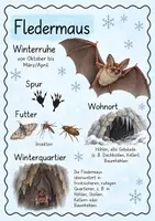 Vorschau - Poster - Tierposter - Tiere im Winter - Seite 2