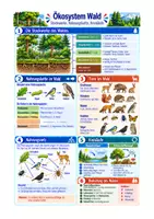 Vorschau - Arbeitsblätter - Biologie Ökosystem Wald Sek I Klasse 5–7 – Stockwerke, Nahrungsnetz und Kreisläufe - Deckblatt