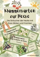 Vorschau - Bildkarten - Klammerkarten: Sträucher der Hecke - Sachunterricht Jgst. 2 - Deckblatt
