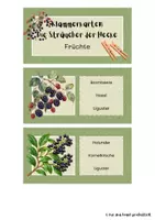 Vorschau - Bildkarten - Klammerkarten: Sträucher der Hecke - Sachunterricht Jgst. 2 - Seite 1
