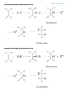 Vorschau - Arbeitsblätter - Reaktionsmechanismus der elektrophilen Addition von Brom an Ethen - Seite 2