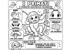 anteprima - Materiale di supporto/inclusione - Il mio amico George, viaggio all'origine dell'uomo - Pagina 1