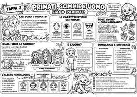 anteprima - Materiale di supporto/inclusione - Il mio amico George, viaggio all'origine dell'uomo - Pagina 3