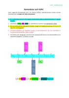 Vorschau - Arbeitsblätter - Anleitung und Übungsaufgaben zur Nomenklatur der Alkane (IUPAC) - Seite 1