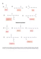 Vorschau - Arbeitsblätter - Materialpaket: Oxidation der Alkohole (Aldehyde, Ketone und Carbonsäuren) - Seite 3