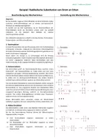 Vorschau - Poster - Anleitung: Reaktionsmechanismen beschreiben und darstellen - Seite 2