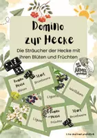 Vorschau - Aufgabenkarten - Domino: Sträucher der Hecke - Sachunterricht Jgst. 2 - Deckblatt