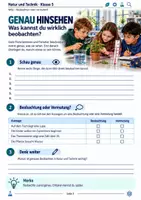 Vorschau - Stundenentwürfe - Richtig Forschen - Beobachten oder vermuten? – Forscher-Sprache, Wahrnehmung & Mini-Experiment | Natur und Technik Klasse 5 - Seite 1
