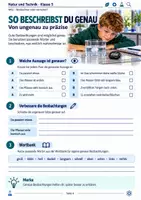 Vorschau - Stundenentwürfe - Richtig Forschen - Beobachten oder vermuten? – Forscher-Sprache, Wahrnehmung & Mini-Experiment | Natur und Technik Klasse 5 - Seite 3