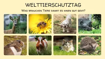 Vorschau - Präsentationen/Tafelbilder - Welttierschutztag Unterrichtsplanung - Seite 1