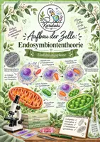 Vorschau - Arbeitsblätter - Aufbau der Zelle: Endosymbiontentheorie | Arbeitsblatt mit Lösung | Einführungsphase - Deckblatt