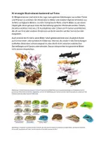 Vorschau - Lehrpläne/Lehrermaterial - Drei Wege, eigene Illustrationen für Arbeitsblätter zu erstellen - Seite 3