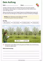 Vorschau - Arbeitsblätter - Bestäubung und Befruchtung bei der Süßkirsche – Alarm auf der Obstwiese | Biologie-Mission Klasse 5-6 - Seite 2