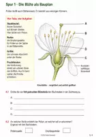 Vorschau - Arbeitsblätter - Bestäubung und Befruchtung bei der Süßkirsche – Alarm auf der Obstwiese | Biologie-Mission Klasse 5-6 - Seite 3