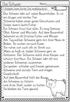 Vorschau - Arbeitsblätter - FREEBIE: Das Leben auf dem Bauernhof - Das Schwein Leseverstehen Grundschule | Lesetexte Klasse 2–4 - Seite 3