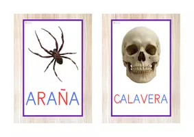 Vista previa - Decoración del aula - Vocabulario letra mayúscula (Halloween) - página 3