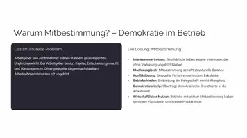Vorschau - Stundenentwürfe - Unterrichtsentwurf zum Betriebsverfassungsgesetz - Seite 2