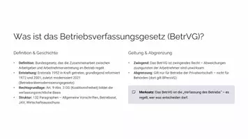 Vorschau - Stundenentwürfe - Unterrichtsentwurf zum Betriebsverfassungsgesetz - Seite 3